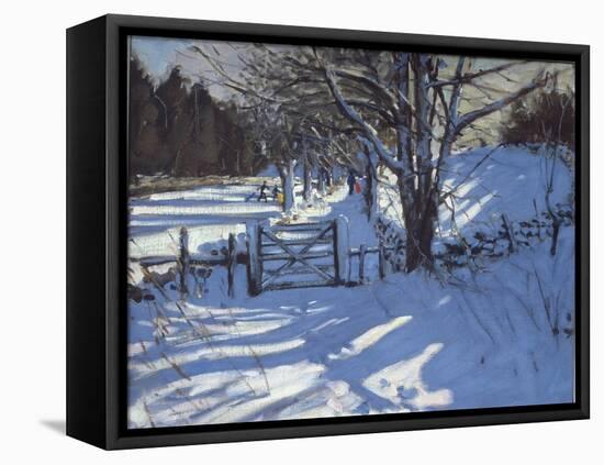 Gate Near Youlgreave, Derbyshire-Andrew Macara-Framed Stretched Canvas