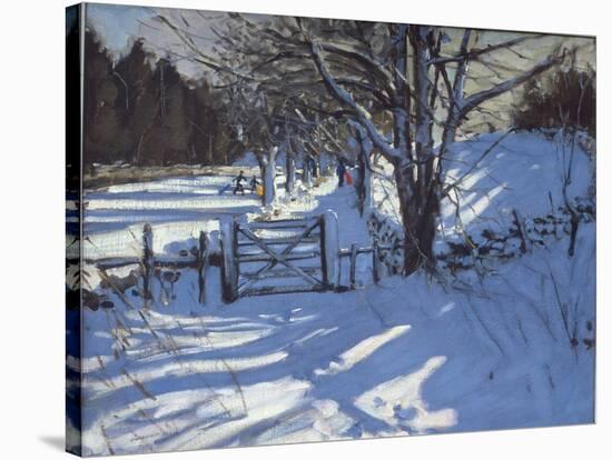 Gate Near Youlgreave, Derbyshire-Andrew Macara-Stretched Canvas