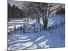 Gate Near Youlgreave, Derbyshire-Andrew Macara-Mounted Giclee Print