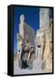 Gate of All Nations or of Xerxes, Persepolis-null-Framed Stretched Canvas