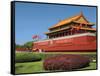 Gate of Heavenly Peace Gardens, the Forbidden City, Beijing, China-Miva Stock-Framed Stretched Canvas