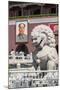 Gate of Heavenly Peace into the Forbidden City Tiananmen Square, Beijing China-Michael DeFreitas-Mounted Photographic Print