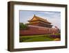 Gate of Heavenly Peace-Massimo Borchi-Framed Photographic Print