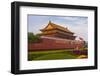 Gate of Heavenly Peace-Massimo Borchi-Framed Photographic Print