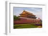 Gate of Heavenly Peace-Massimo Borchi-Framed Photographic Print