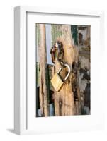 Gate, Padlock-Catharina Lux-Framed Photographic Print