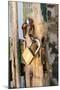 Gate, Padlock-Catharina Lux-Mounted Photographic Print