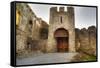Gate to Adare Castle - Ireland, HDR-Patryk Kosmider-Framed Stretched Canvas