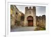 Gate to Adare Castle - Ireland, HDR-Patryk Kosmider-Framed Photographic Print