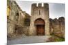 Gate to Adare Castle - Ireland, HDR-Patryk Kosmider-Mounted Photographic Print