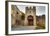 Gate to Adare Castle - Ireland, HDR-Patryk Kosmider-Framed Photographic Print