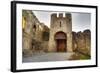 Gate to Adare Castle - Ireland, HDR-Patryk Kosmider-Framed Photographic Print