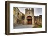 Gate to Adare Castle - Ireland, HDR-Patryk Kosmider-Framed Photographic Print