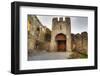 Gate to Adare Castle - Ireland, HDR-Patryk Kosmider-Framed Photographic Print