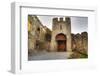 Gate to Adare Castle - Ireland, HDR-Patryk Kosmider-Framed Photographic Print