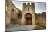 Gate to Adare Castle - Ireland, HDR-Patryk Kosmider-Mounted Photographic Print