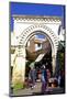 Gate to Medina, Tangier, Morocco, North Africa, Africa-Neil Farrin-Mounted Photographic Print