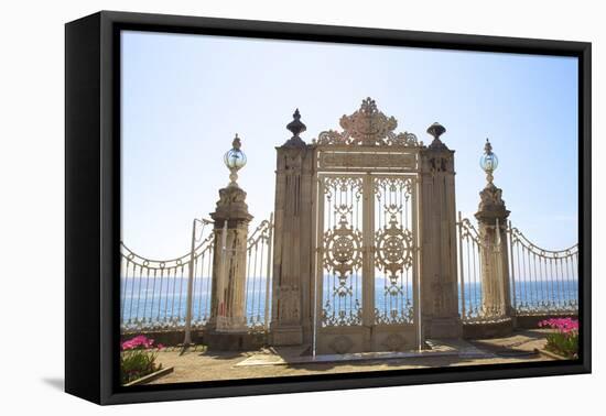 Gate to the Bosphorus, Dolmabahce Palace, Istanbul, Turkey, Europe-Neil Farrin-Framed Stretched Canvas