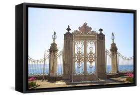 Gate to the Bosphorus, Dolmabahce Palace, Istanbul, Turkey, Europe-Neil Farrin-Framed Stretched Canvas