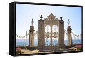 Gate to the Bosphorus, Dolmabahce Palace, Istanbul, Turkey, Europe-Neil Farrin-Framed Stretched Canvas