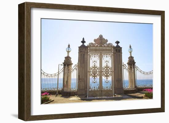 Gate to the Bosphorus, Dolmabahce Palace, Istanbul, Turkey, Europe-Neil Farrin-Framed Photographic Print