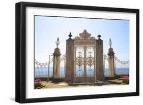 Gate to the Bosphorus, Dolmabahce Palace, Istanbul, Turkey, Europe-Neil Farrin-Framed Photographic Print