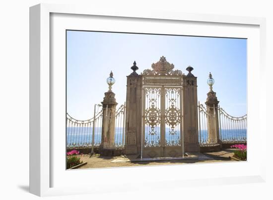 Gate to the Bosphorus, Dolmabahce Palace, Istanbul, Turkey, Europe-Neil Farrin-Framed Photographic Print