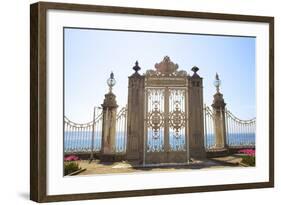 Gate to the Bosphorus, Dolmabahce Palace, Istanbul, Turkey, Europe-Neil Farrin-Framed Photographic Print