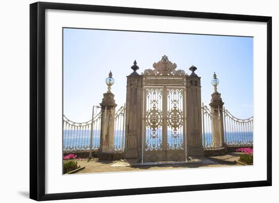 Gate to the Bosphorus, Dolmabahce Palace, Istanbul, Turkey, Europe-Neil Farrin-Framed Photographic Print