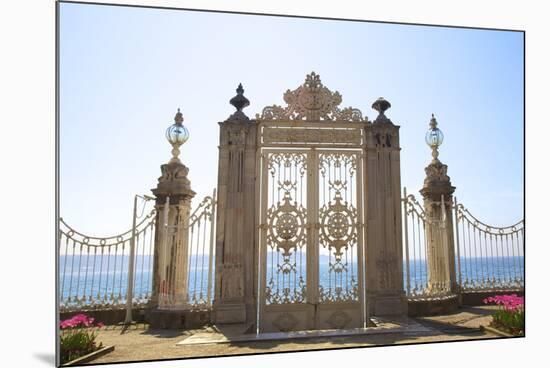 Gate to the Bosphorus, Dolmabahce Palace, Istanbul, Turkey, Europe-Neil Farrin-Mounted Photographic Print