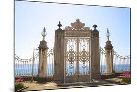 Gate to the Bosphorus, Dolmabahce Palace, Istanbul, Turkey, Europe-Neil Farrin-Mounted Photographic Print