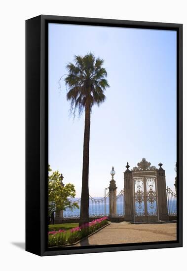 Gate to the Bosphorus, Dolmabahce Palace, Istanbul, Turkey, Europe-Neil Farrin-Framed Stretched Canvas