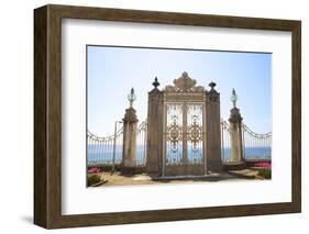 Gate to the Bosphorus, Dolmabahce Palace, Istanbul, Turkey, Europe-Neil Farrin-Framed Photographic Print