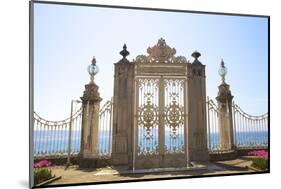 Gate to the Bosphorus, Dolmabahce Palace, Istanbul, Turkey, Europe-Neil Farrin-Mounted Photographic Print