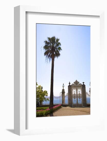 Gate to the Bosphorus, Dolmabahce Palace, Istanbul, Turkey, Europe-Neil Farrin-Framed Photographic Print