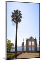 Gate to the Bosphorus, Dolmabahce Palace, Istanbul, Turkey, Europe-Neil Farrin-Mounted Photographic Print