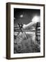 Gate to the Tetons-Dean Fikar-Framed Photographic Print