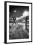 Gate to the Tetons-Dean Fikar-Framed Photographic Print