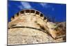 Gate Tower of San Gimignano in Italy-tang90246-Mounted Photographic Print