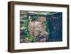 Gate, wall, plant, Russianvine-Jule Leibnitz-Framed Photographic Print