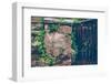 Gate, wall, plant, Russianvine-Jule Leibnitz-Framed Photographic Print