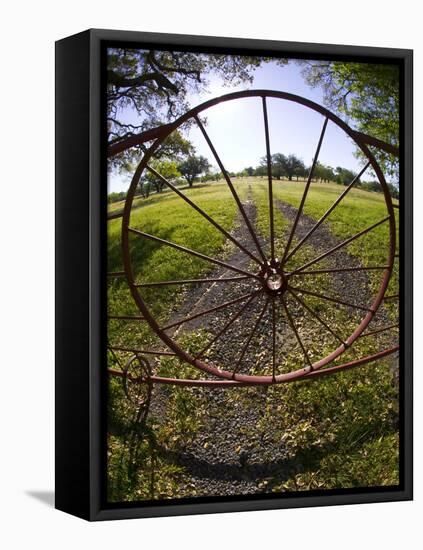 Gate with Metal Wheel Near Cuero, Texas, USA-Darrell Gulin-Framed Stretched Canvas
