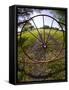 Gate with Metal Wheel Near Cuero, Texas, USA-Darrell Gulin-Framed Stretched Canvas