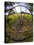 Gate with Metal Wheel Near Cuero, Texas, USA-Darrell Gulin-Stretched Canvas