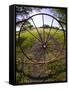 Gate with Metal Wheel Near Cuero, Texas, USA-Darrell Gulin-Framed Stretched Canvas