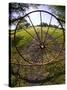 Gate with Metal Wheel Near Cuero, Texas, USA-Darrell Gulin-Stretched Canvas