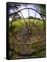 Gate with Metal Wheel Near Cuero, Texas, USA-Darrell Gulin-Framed Stretched Canvas