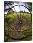 Gate with Metal Wheel Near Cuero, Texas, USA-Darrell Gulin-Stretched Canvas