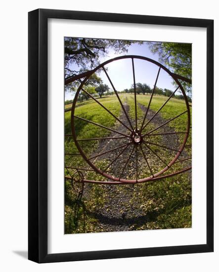 Gate with Metal Wheel Near Cuero, Texas, USA-Darrell Gulin-Framed Photographic Print