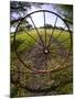 Gate with Metal Wheel Near Cuero, Texas, USA-Darrell Gulin-Mounted Photographic Print